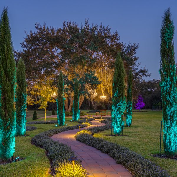 Haven - Orlando - HiRes-3