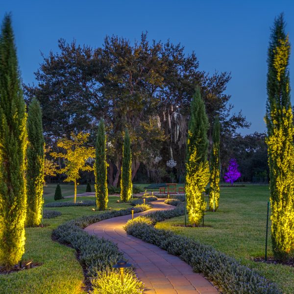 Haven - Orlando - HiRes-7