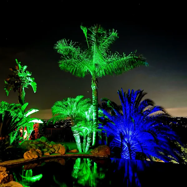 Landscape Lighting San Diego-16_result