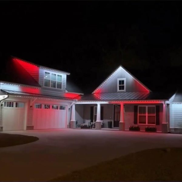 Permanent Christmas Lights San Diego_-44 (1)