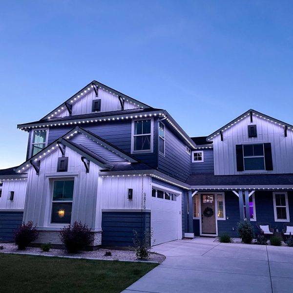 Permanent Security Lighting - JellyFish Lighting-2 (1)