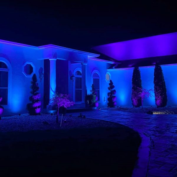 127274691_814017165824560_3658835152500175693_n