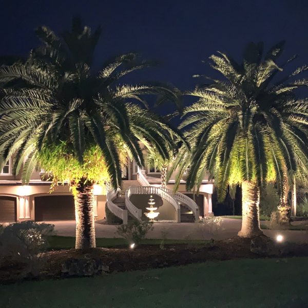 151275359_2858080791179026_2249698657307319979_n