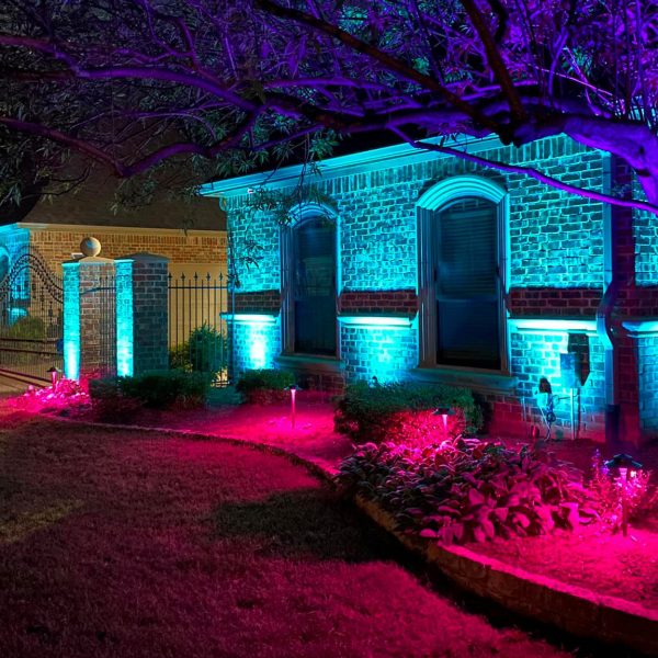 182747007_1060166417724928_323125904648392023_n