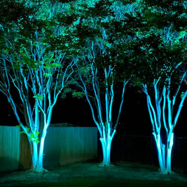 182836040_1060166447724925_868086532359492861_n