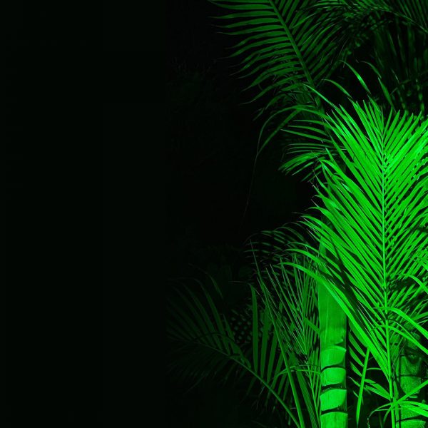 246221198_2985673711699910_7030027652109059304_n