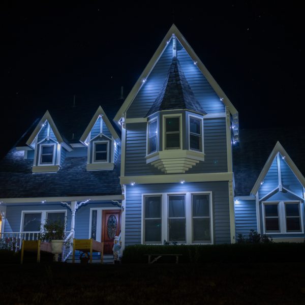 Accent Lighting - San Diego Permanent Lighting-4