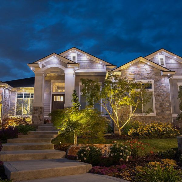 Accent Permanent Lighting - JellyFish Lighting-16