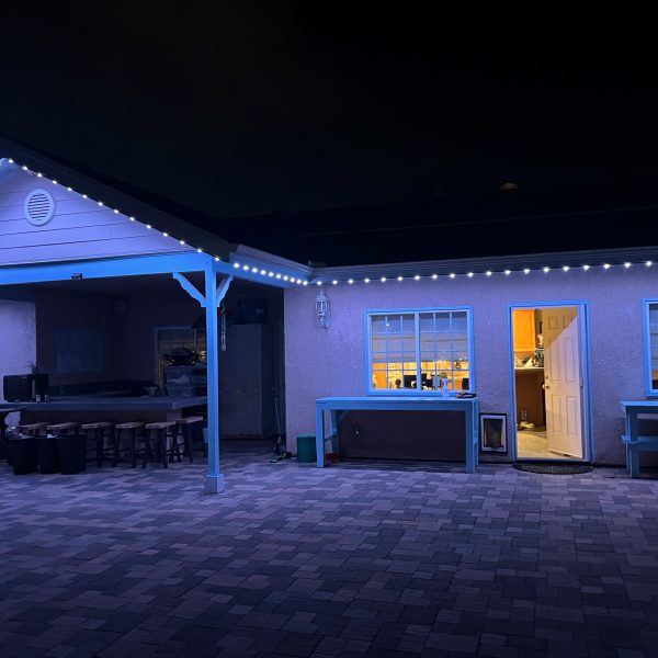 Backyard Lighting-San Diego Permanent Lighting-2