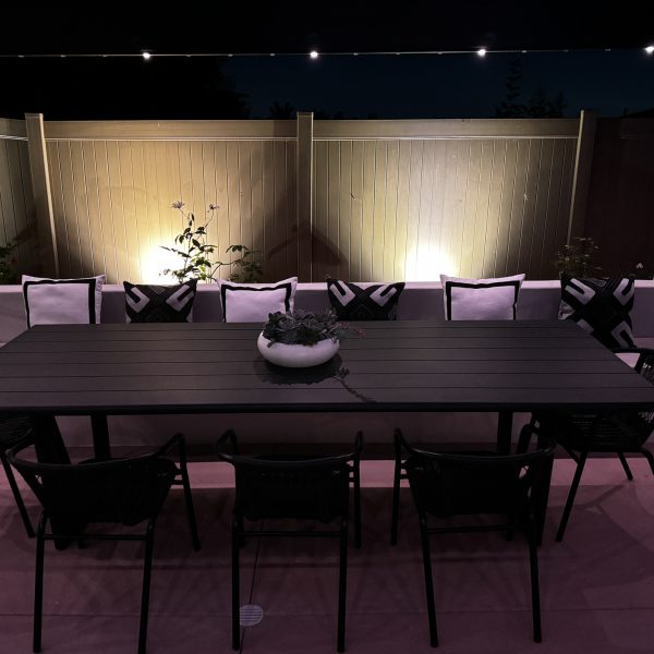 Backyard Lighting-San Diego Permanent Lighting-9