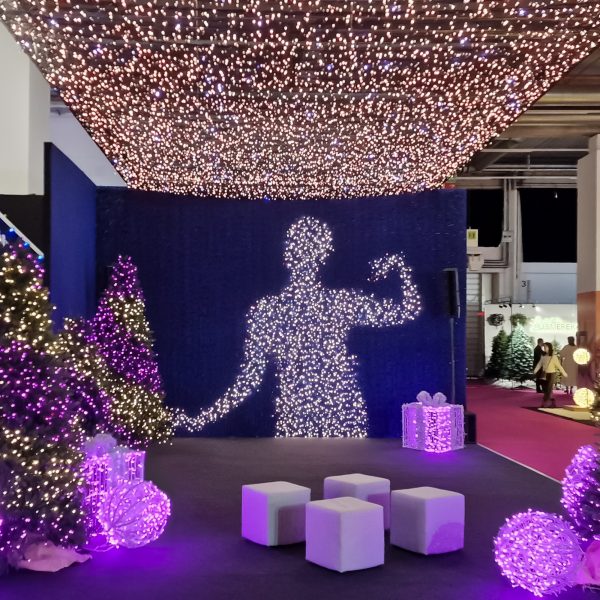 Canopy - Curtain - Icicle Lights - String Lights San Diego-11