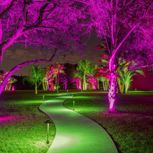 Haven - Bradenton - HiRes-32