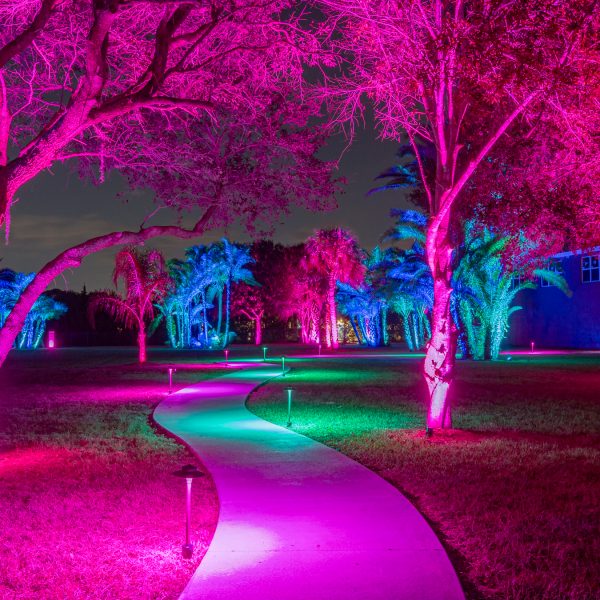 Haven - Bradenton - HiRes-36