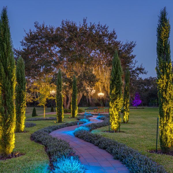 Haven - Orlando - HiRes-2