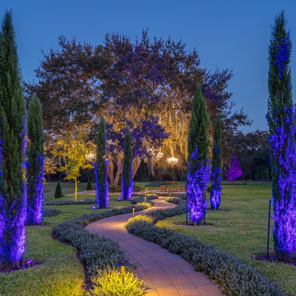 Haven - Orlando - HiRes-4