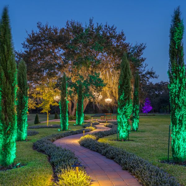 Haven - Orlando - HiRes-5