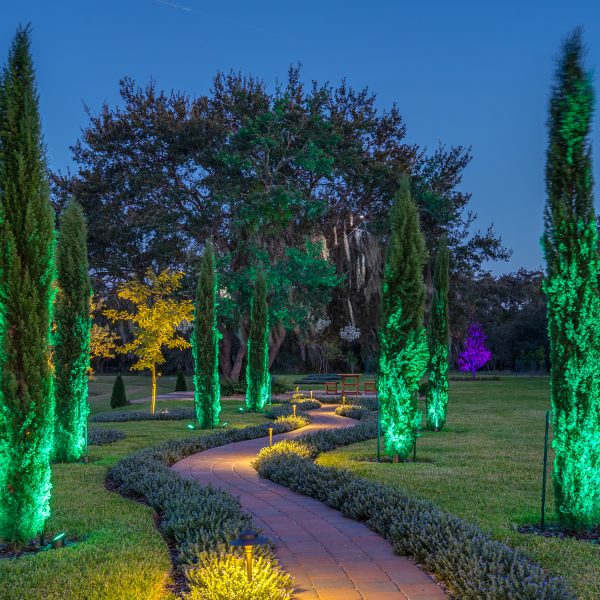 Haven - Orlando - HiRes-6