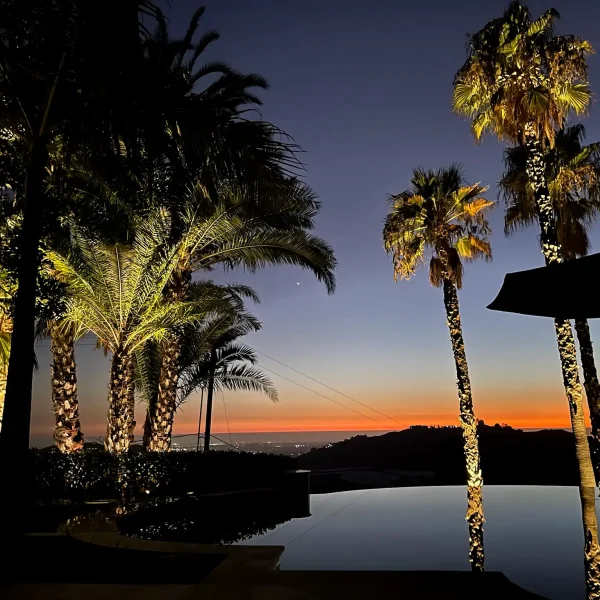 Landscape Lighting San Diego-21_result