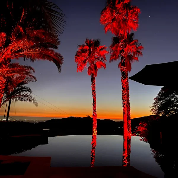 Landscape Lighting San Diego-22_result
