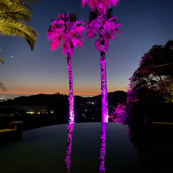 Landscape Lighting San Diego-23_result