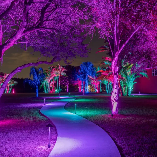 Landscape Lighting San Diego-25_result