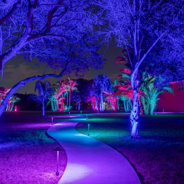 Landscape Lighting San Diego-26_result