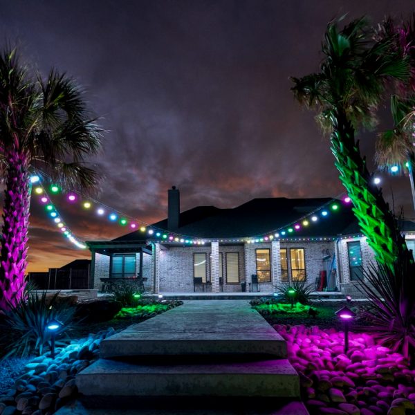 Landscape Lighting San Diego-28