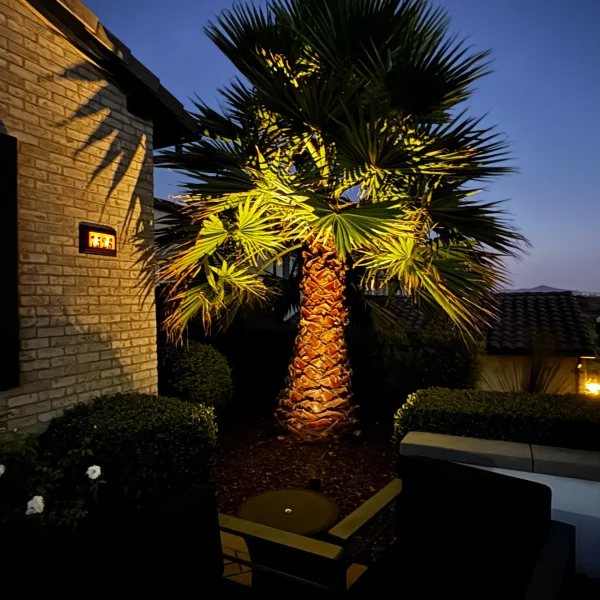 Landscape Lighting San Diego-29_result