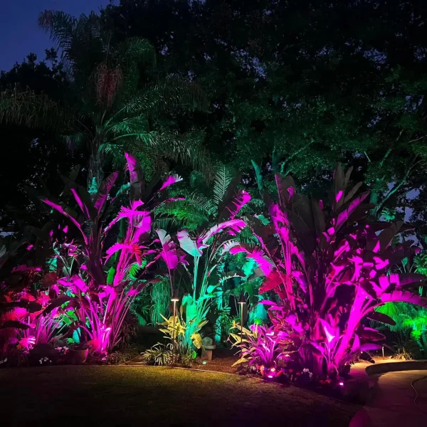 Landscape Lighting San Diego-31_result