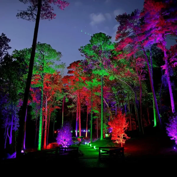 Landscape Lighting San Diego-32_result