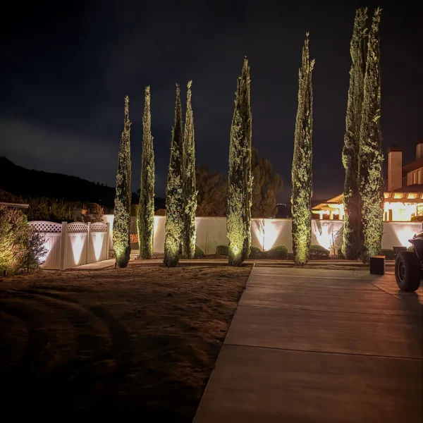 Landscape Lighting San Diego-42_result