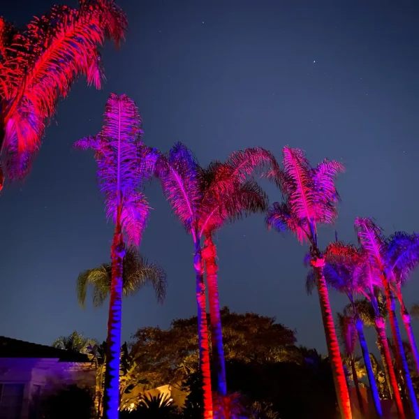 Landscape Lighting San Diego-7_result