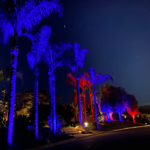 Landscape Lighting San Diego-8_result