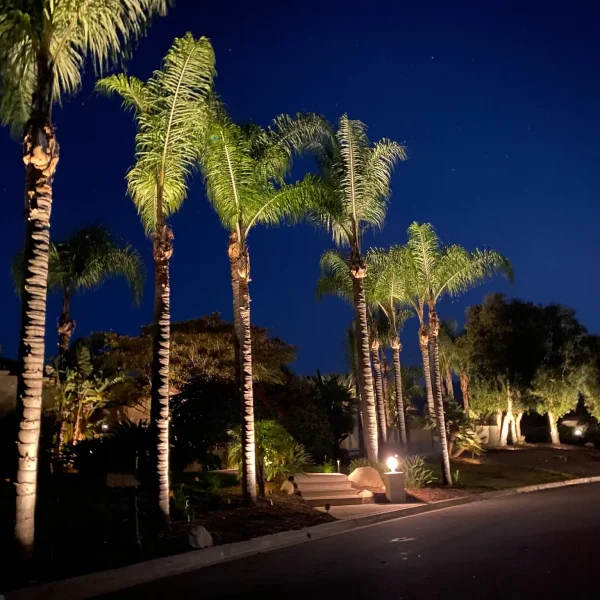 Landscape Lighting San Diego-9_result