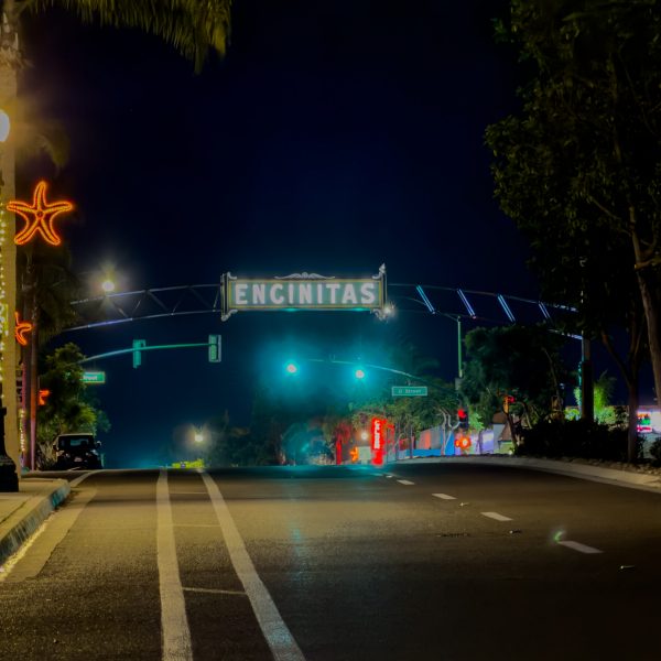 Municipal Building and Town Center Holiday Lighting San Diego-7