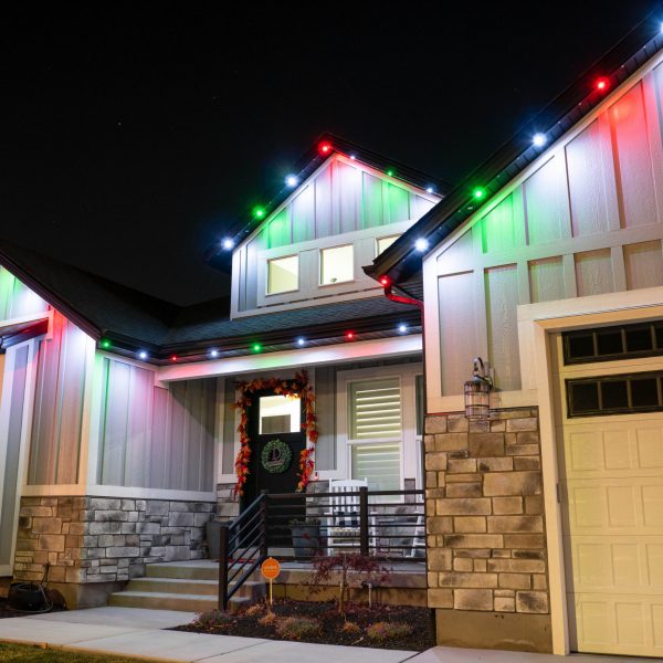 Permanent Christmas Lights San Diego_-26 (1)