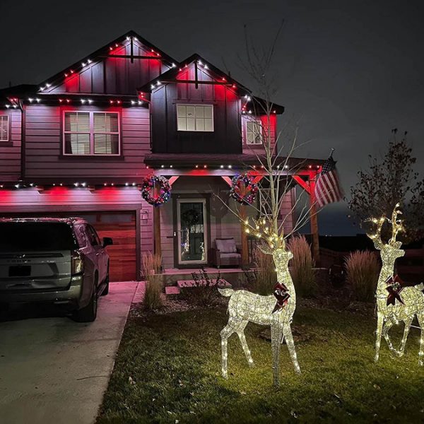 Permanent-Christmas-Lights-San-Diego_-47