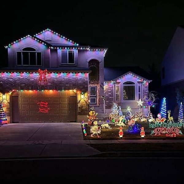 Permanent-Christmas-Lights-San-Diego_-49