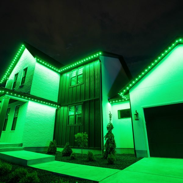 Permanent Holiday Lights San Diego - St Patricks Day-3