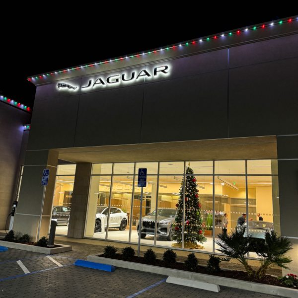 Permanent LED Lights San Diego - Commercial Lighting-2