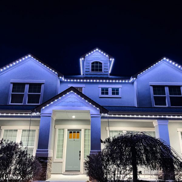 Permanent-Security-Lighting---JellyFish-Lighting-4