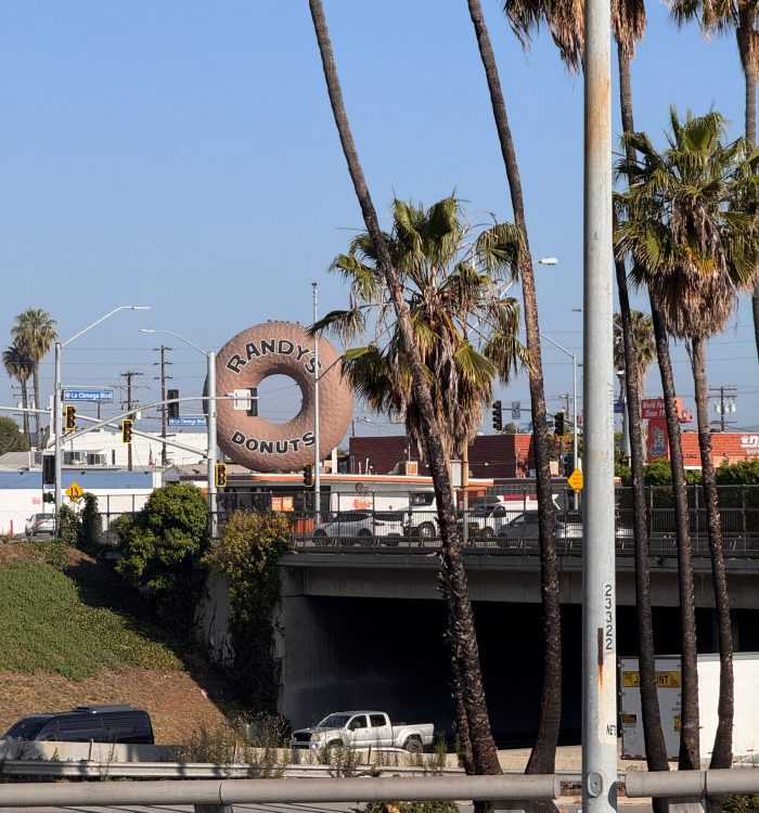 Randy_s Donut Lighting Modern Lightscapes