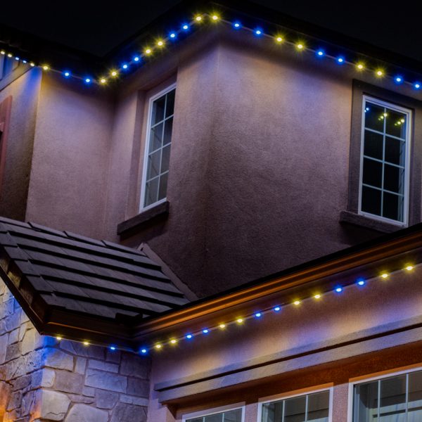 Sports Team Lighting-San Diego Permanent Lighting-10