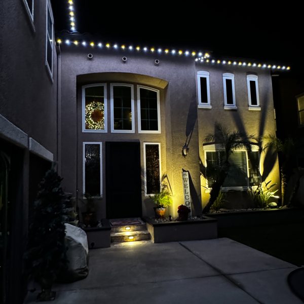 Sports Team Lighting-San Diego Permanent Lighting-8