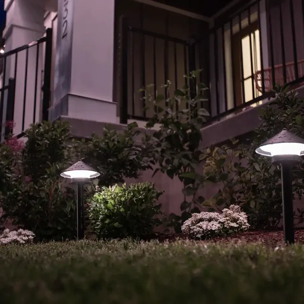 jellyfish landscape lighting